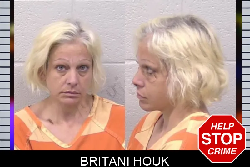 Britani Houk mugshot