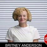 Britney Anderson mugshot