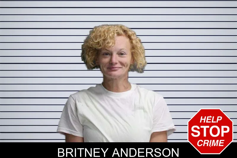 Britney Anderson mugshot