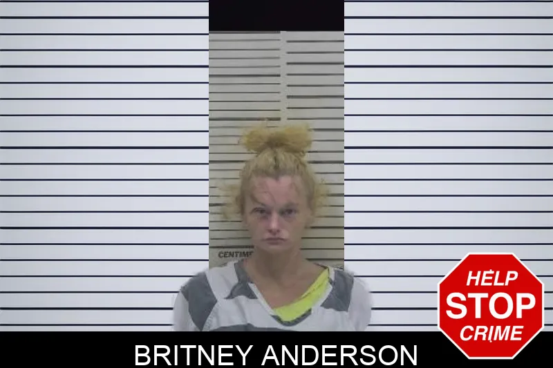 Britney Anderson mugshot