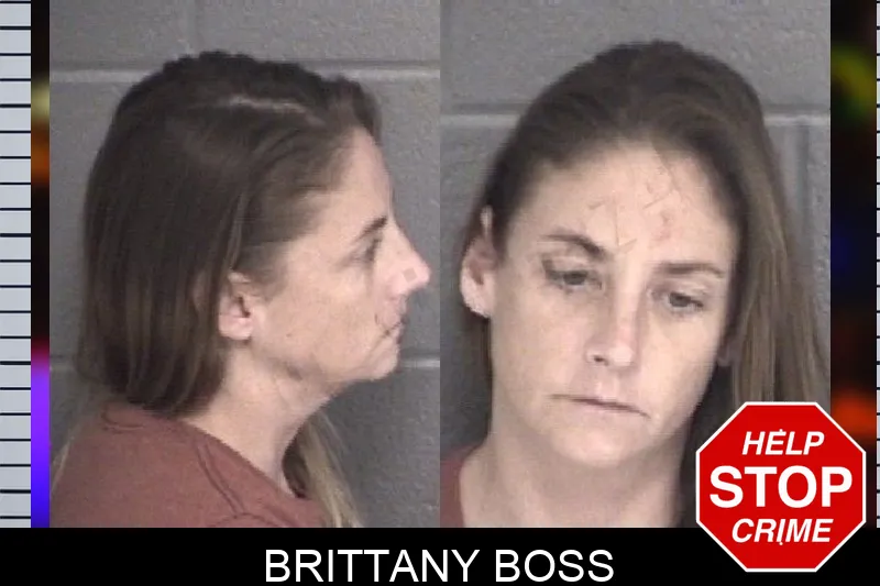 Brittany Boss mugshot