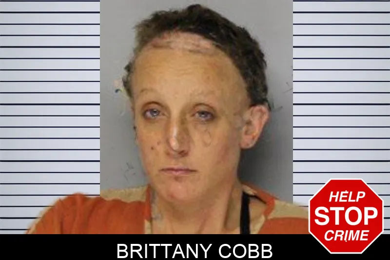 Brittany Cobb mugshot
