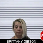 Brittany Gibson mugshot
