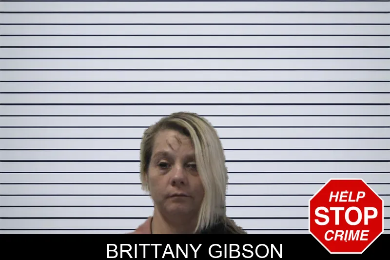 Brittany Gibson mugshot