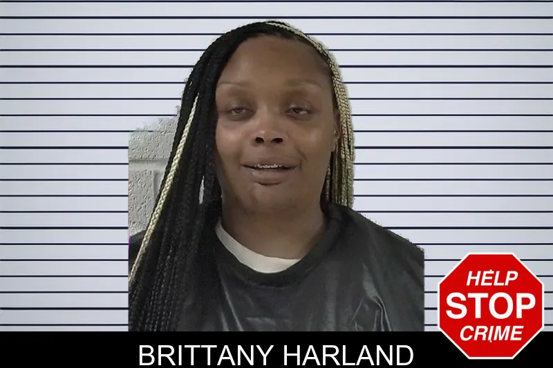 Brittany Harland mugshot