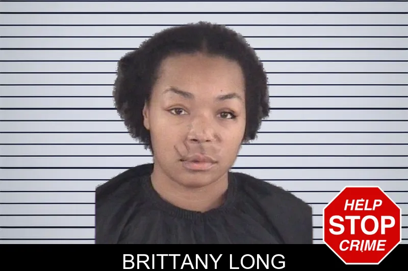 Brittany Long mugshot