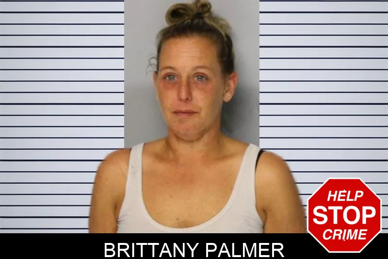 Brittany Palmer mugshot