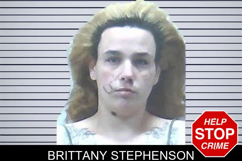 Brittany Stephenson mugshot