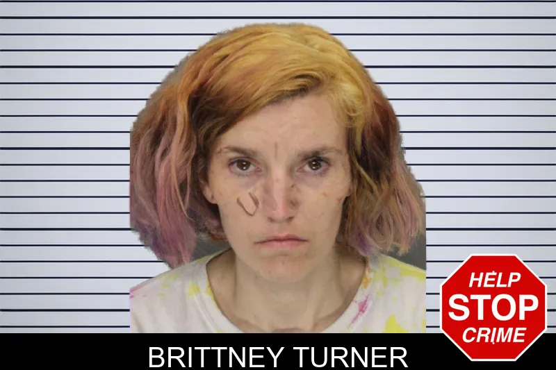 Brittney Turner mugshot