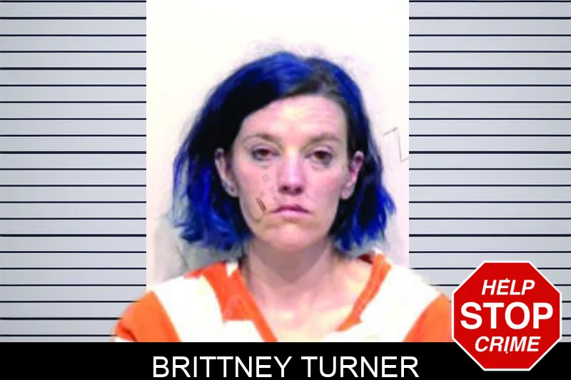 Brittney Turner mugshot