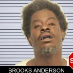 Brooks Anderson mugshot