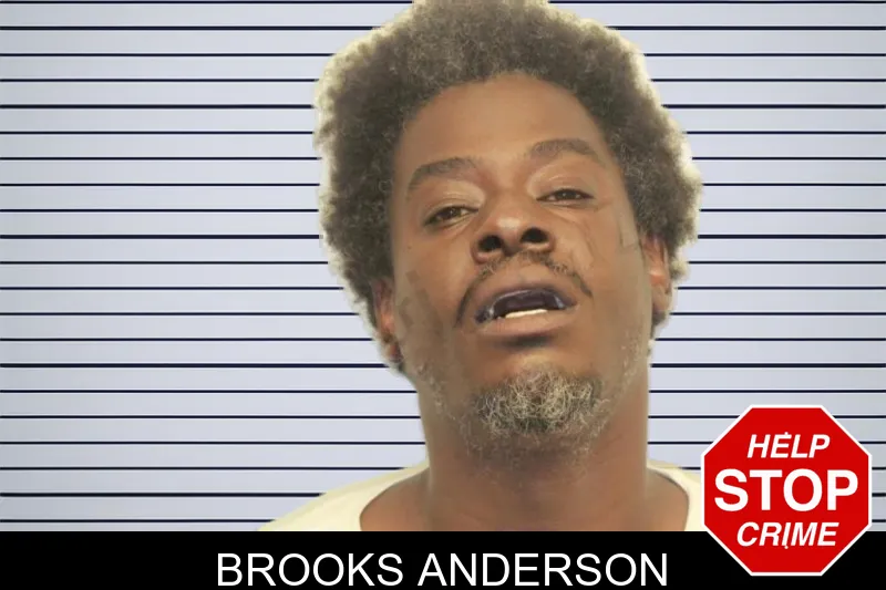 Brooks Anderson mugshot