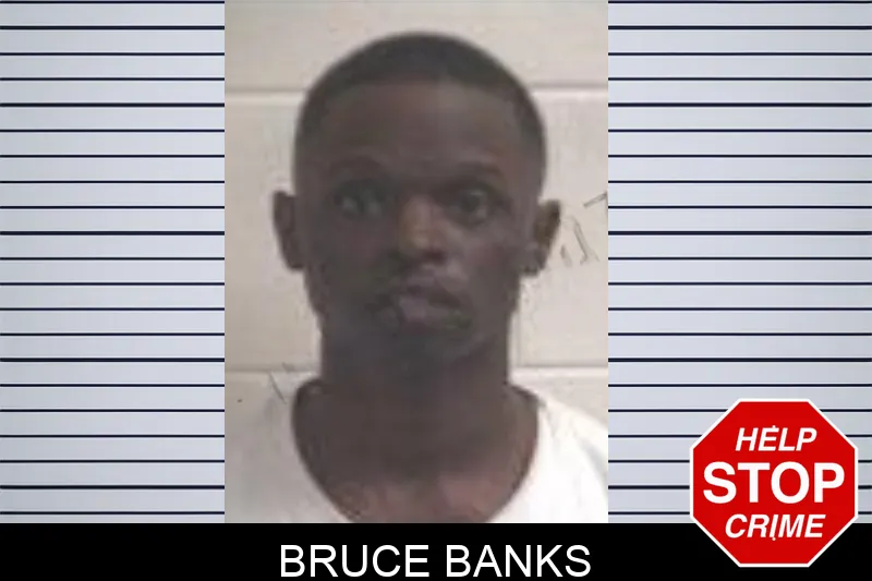 Bruce Banks mugshot
