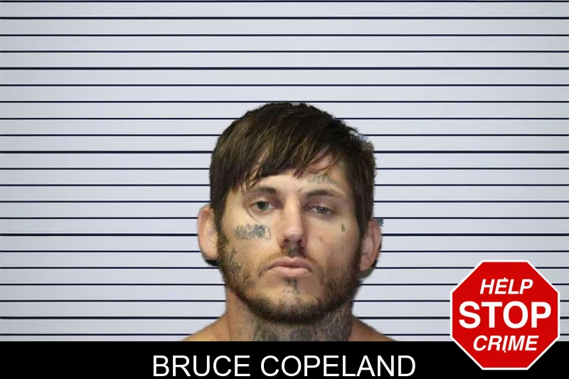 Bruce Copeland mugshot