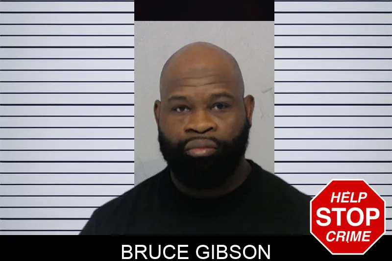 Bruce Gibson mugshot