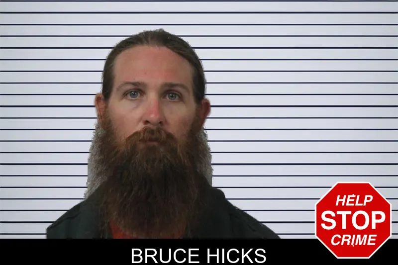 Bruce Hicks mugshot