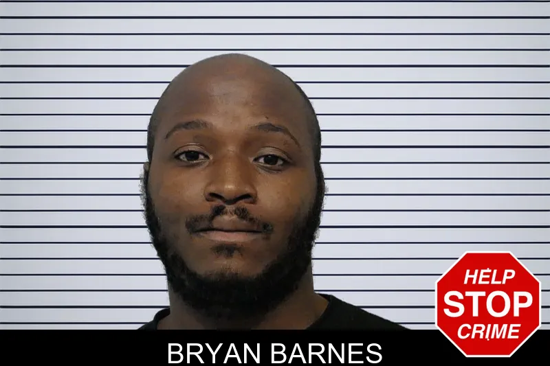 Bryan Barnes mugshot