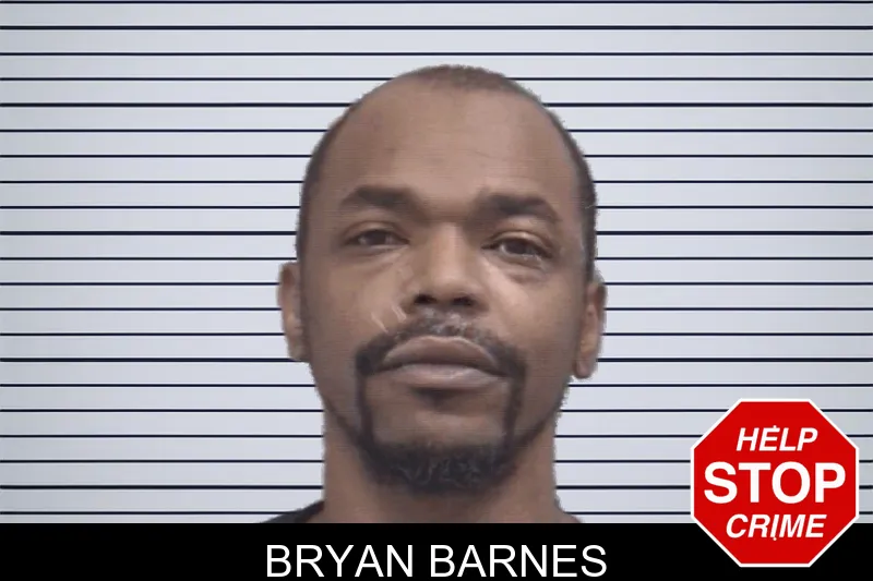 Bryan Barnes mugshot