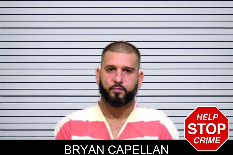 Bryan Capellan mugshot