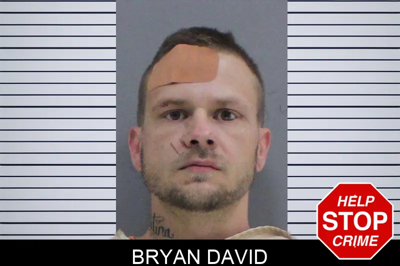 Bryan David mugshot