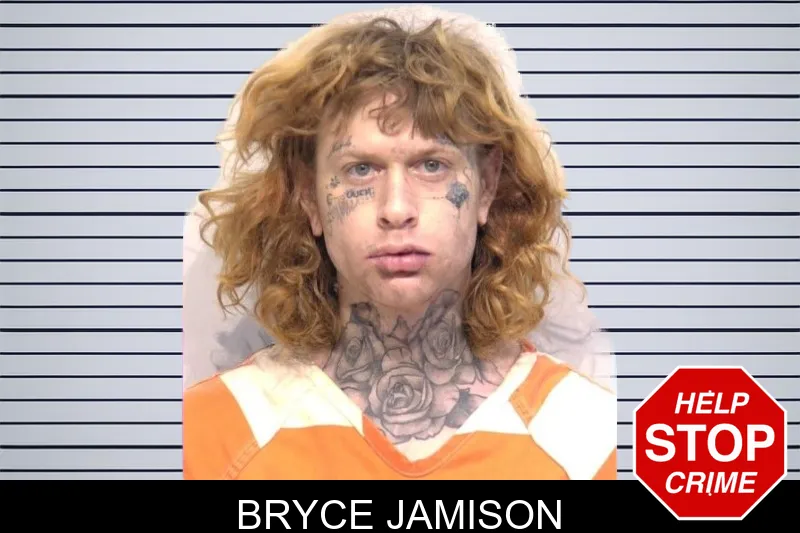 Bryce Jamison mugshot