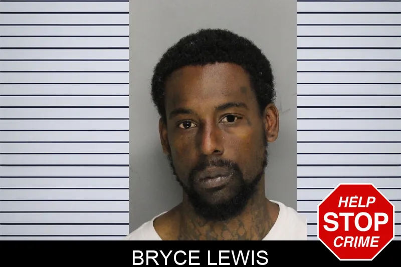 Bryce Lewis mugshot