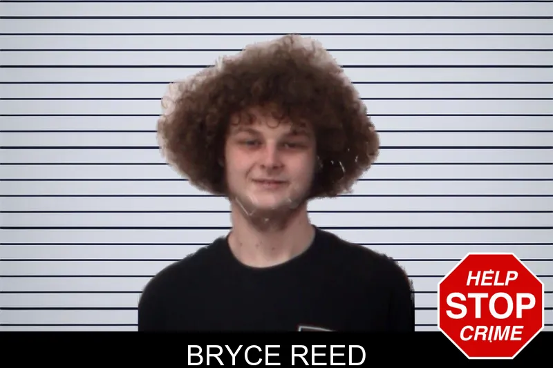 Bryce Reed mugshot
