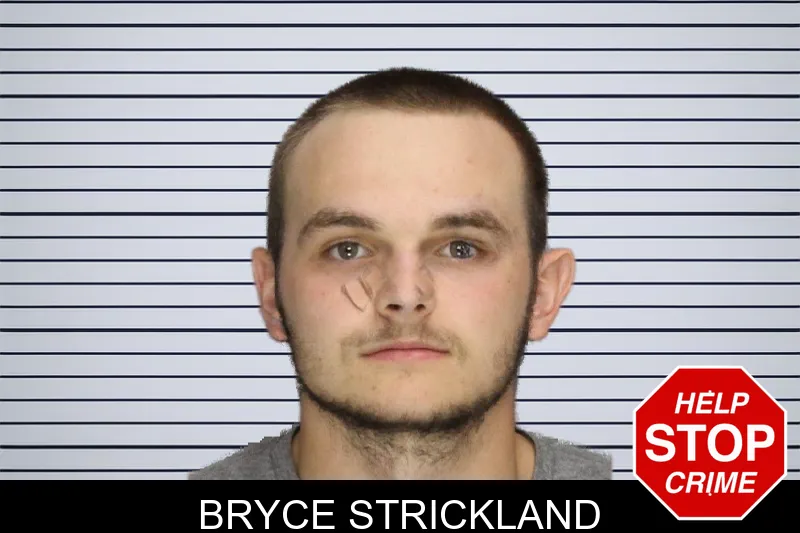Bryce Strickland mugshot