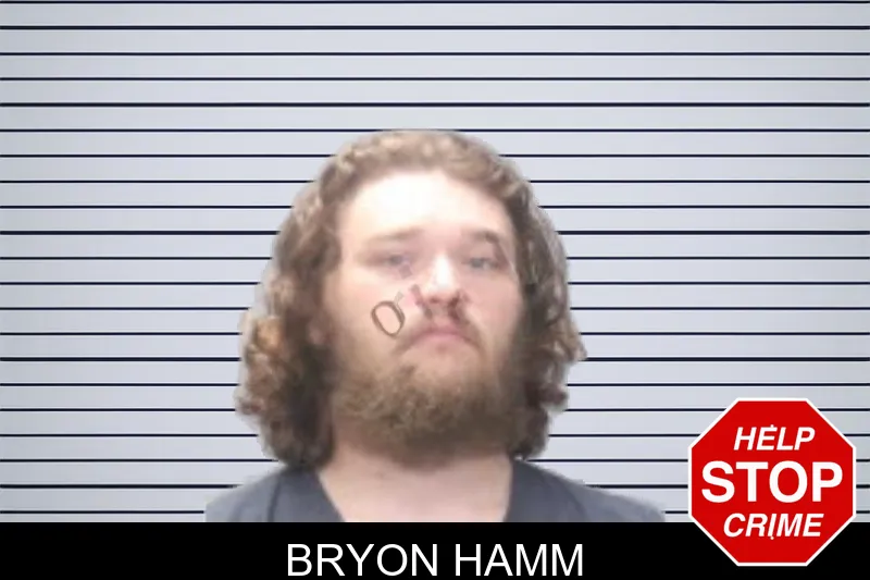 Bryon Hamm mugshot
