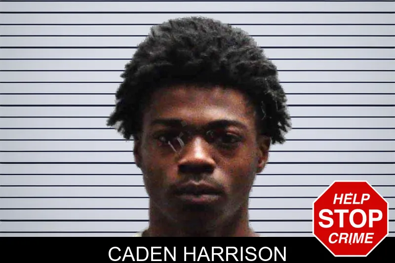 Caden Harrison mugshot