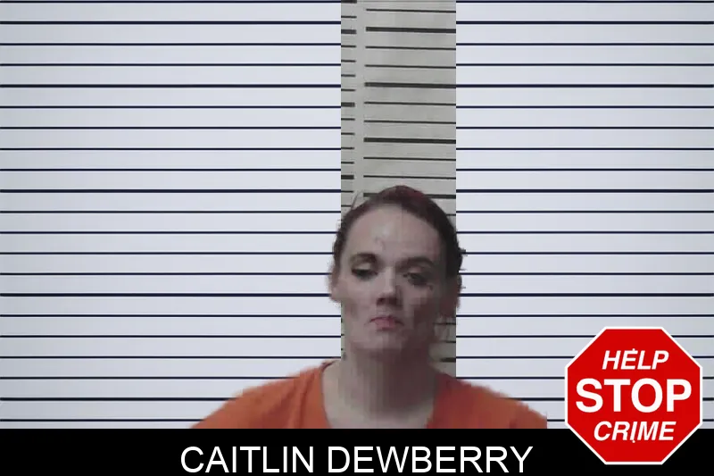 Caitlin Dewberry mugshot