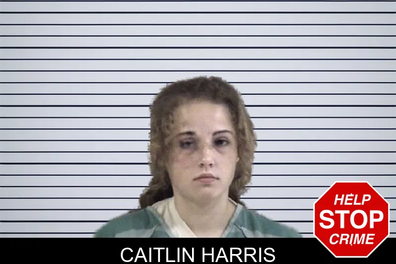 Caitlin Harris mugshot