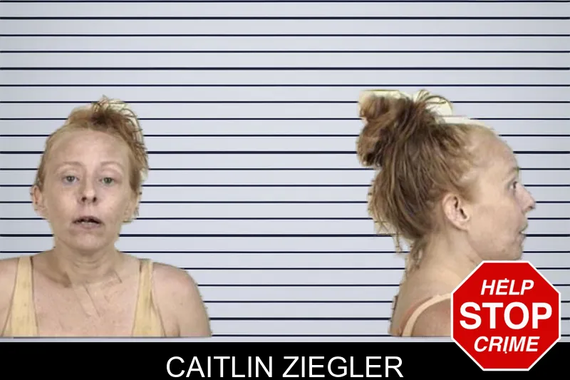 Caitlin Ziegler mugshot