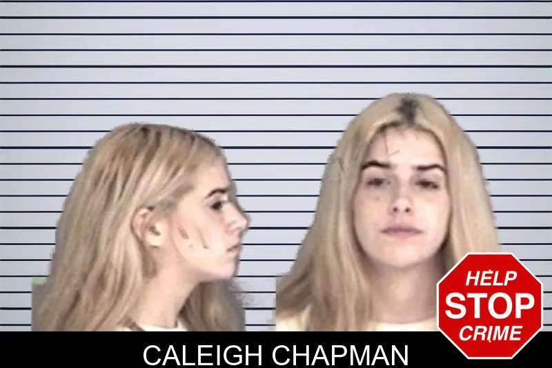 Caleigh Chapman mugshot