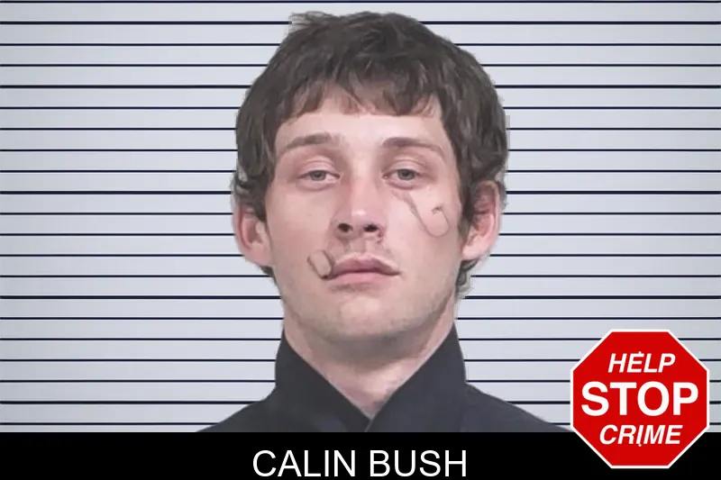 Calin Bush mugshot