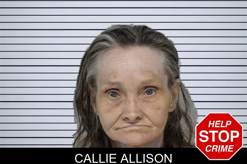 Callie Allison mugshot