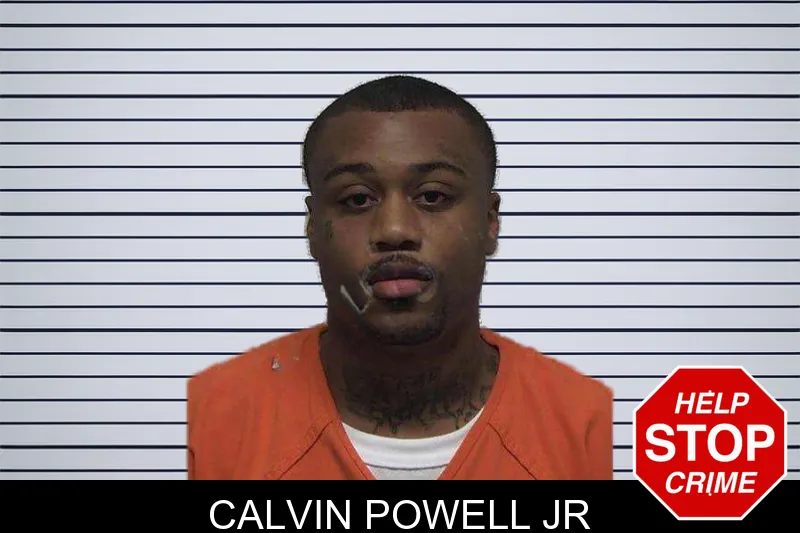 Calvin Powell Jr mugshot