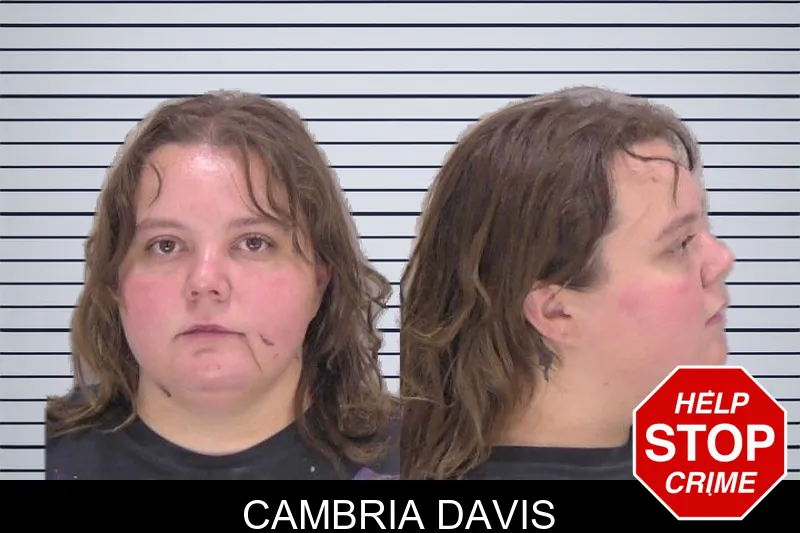 Cambria Davis mugshot