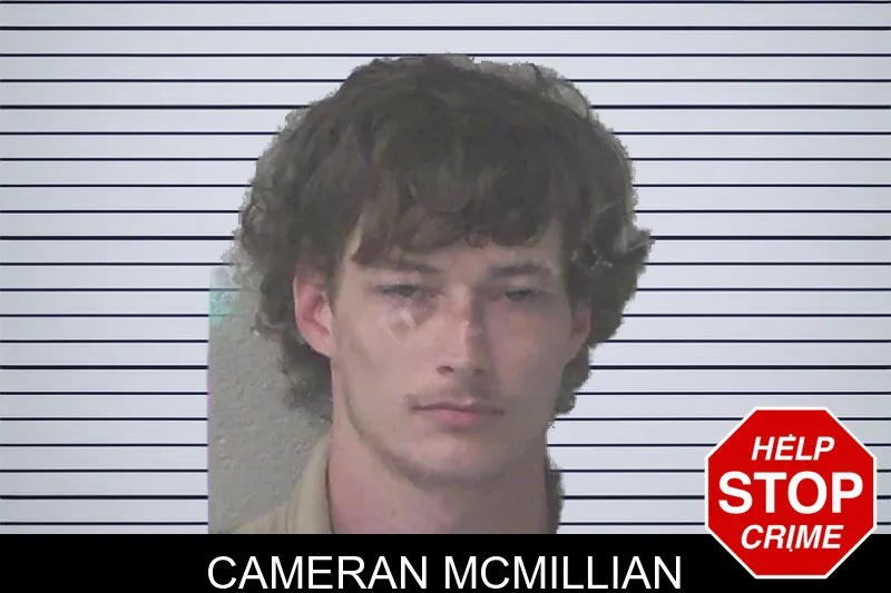 Cameran McMillian mugshot