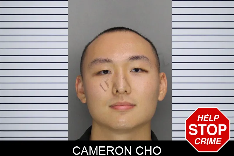 Cameron Cho mugshot