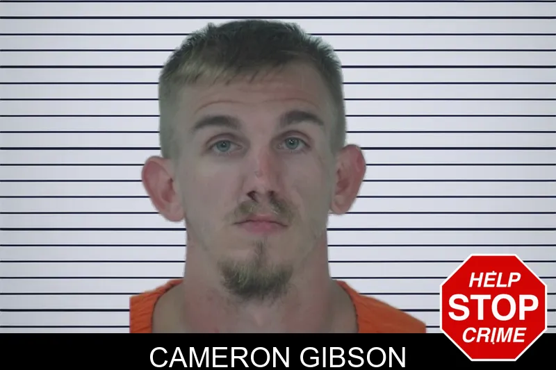 Cameron Gibson mugshot