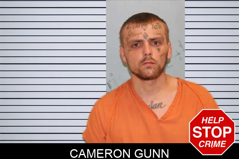 Cameron Gunn mugshot