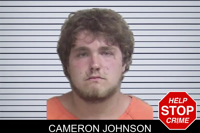 Cameron Johnson mugshot