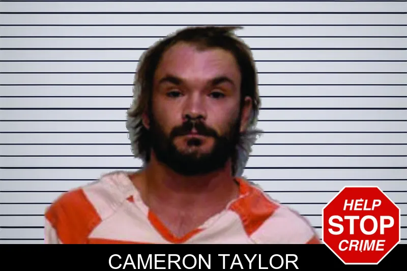 Cameron Taylor mugshot
