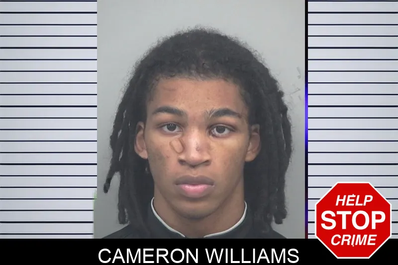 Cameron Williams mugshot