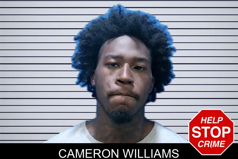 Cameron Williams mugshot