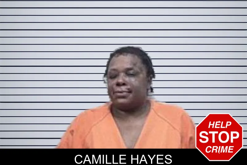 Camille Hayes mugshot