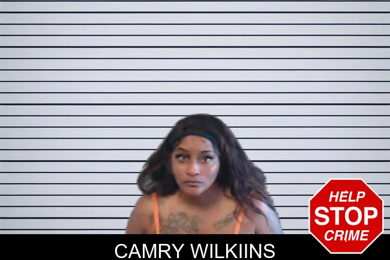 Camry Wilkiins mugshot
