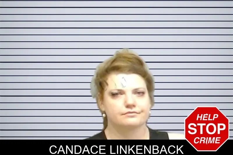 Candace Linkenback mugshot