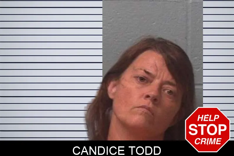 Candice Todd mugshot